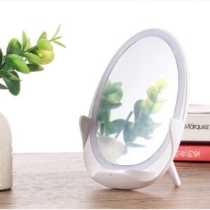 LUMIDOCK Vertical LED Fill Light Makeup Mirror with Wireless Charger & Phone Bracket